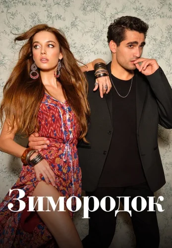 Зимородок 1-101 серия турецкий сериал на русской озвучке смотреть онлайн все серии